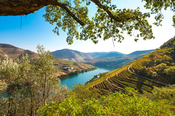 Douro Valley gay tour