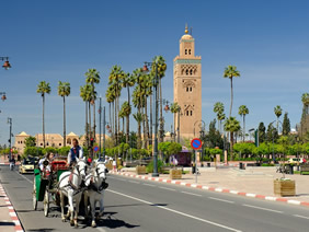 Marrakech gay tour