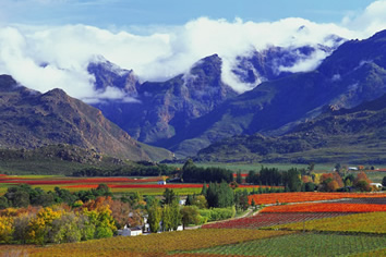 Cape Winelands Gay Tour