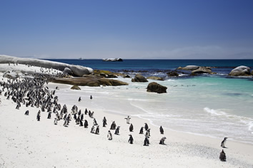 South Africa Gay Group Tour