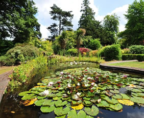 The Spa Hotel gardens