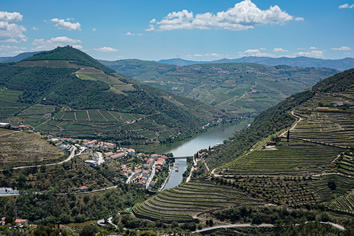 Douro Valley lesbian tour