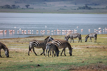 Lake Manyara safari lesbian safari