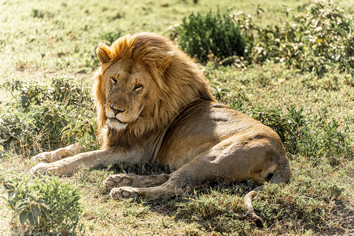Serengeti lesbian adventure tour