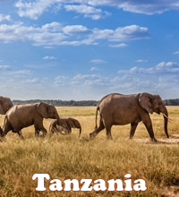Tanzania Lesbian Safari Tour