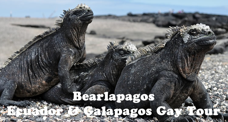 Bearlapagos - Ecuador & Galapagos Gay Tour