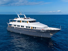 Galapagos Angel gay cruise