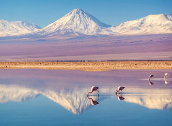 Atacama desert lagoons gay tour