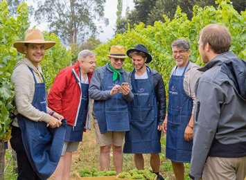 Chile wine gay tour