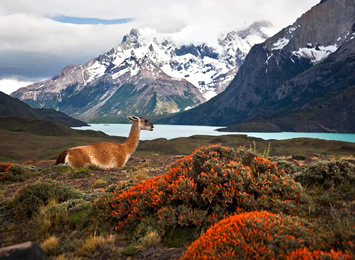 Patagonia Chile gay trip