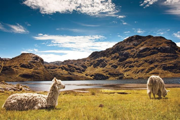 Ecuador gay tour - Cajas National Park