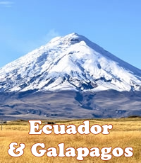 Discover Ecuador & Galapagos Gay Group Tour