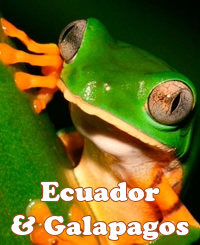 Ecuador & Galapagos Gay Tour