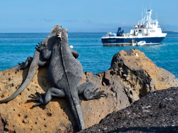 Galapagos gay adventure