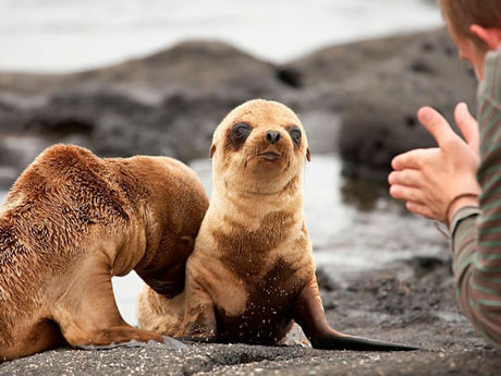 Galapagos Gay Tour