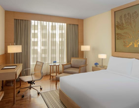 Radisson Blu Hotel Dwarka room