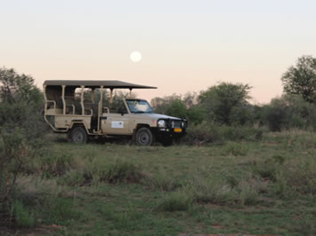 Namibia game drive