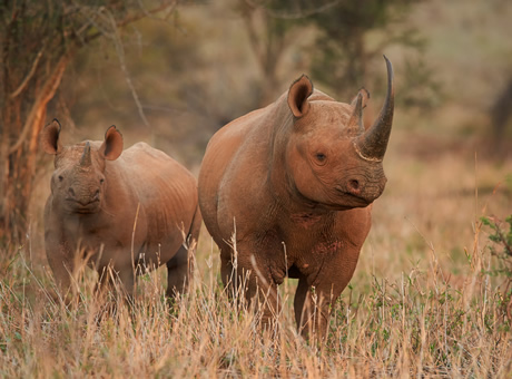 Namibia Gay Safari Tour