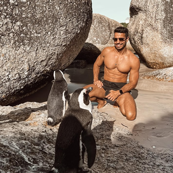 Cape Town gay tour - Boulders Beach