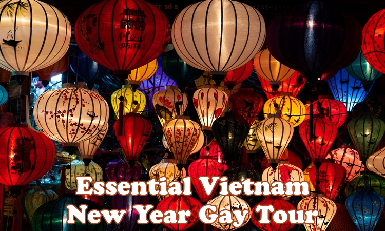 Vietnam New Year Gay Group Tour