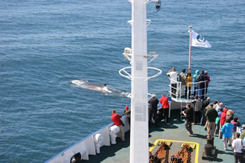 Oceanwide Expeditions Antarctica cruise