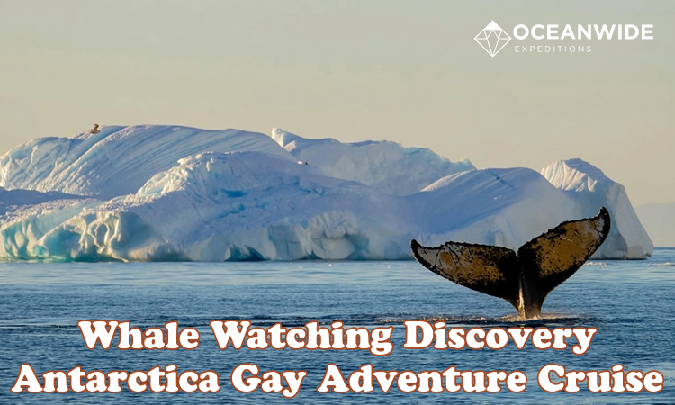 Antarctica Whale Watching Gay Adventure Cruise