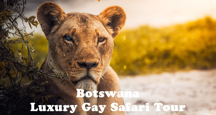 Botswana Luxury Gay Safari Tour