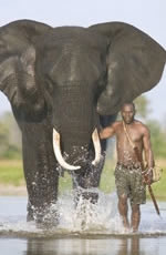 Botswana Gay Safari Tour