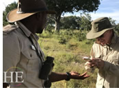 Botswana gay safari walk