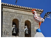 Spain Camino de Santiago gay cycling tour - gallo