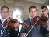 Austria gay tour - violin serenade