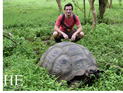 Galapagos gay tour - giant tortoise