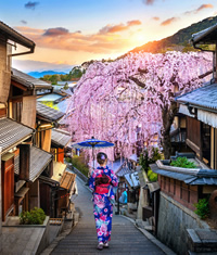 Gay Japan Cultural Tour