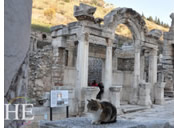Turkey gay tour - Ephesus