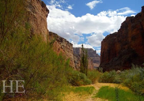 Grand Canyon gay adventure - scenery