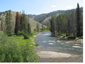 Salmon River, Idaho Gay Rafting adventure tour