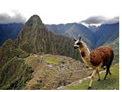 Machu Picchu gay hiking trip