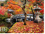 Japan, Kyoto autumn gay tour