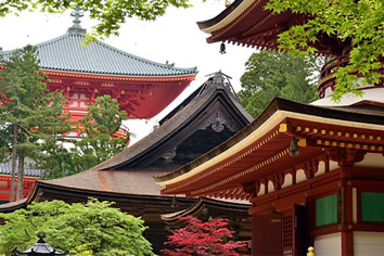 Japan Gay Tour - Koyosan Monastery