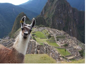 Gay Machu Picchu travel