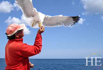 Feeding seaguls ocean scenery Portugal