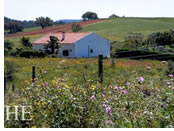 Portugal gay biking tour - prairie nature country