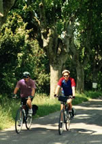 Gay Biking Tour in Provence France