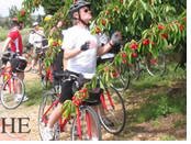 Provence France gay biking tour - cherries