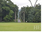 Sri Lanka gay tour - Peradeniya Botanical Gardens