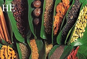 Sri Lanka spices