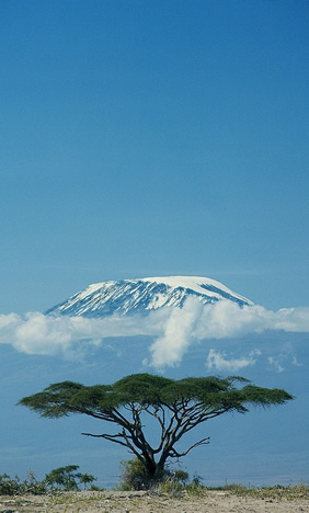 Kilimanjaro gay tour