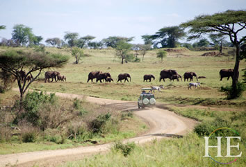 Tanzania Africa gay safari