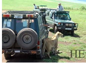 Tanzania gay safari adventure tour