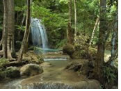 Thailand gay tour - Erawan National Park